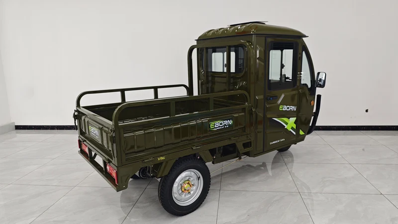 Eborn Cargo Cat 3 V2
