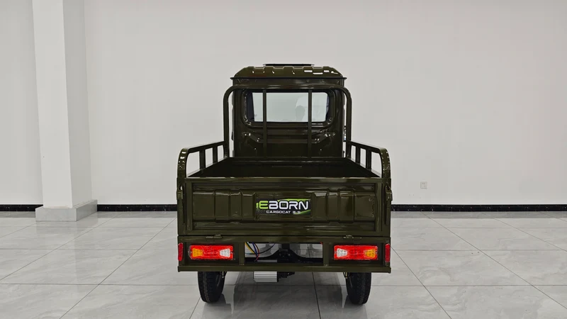 Eborn Cargo Cat 3 V2