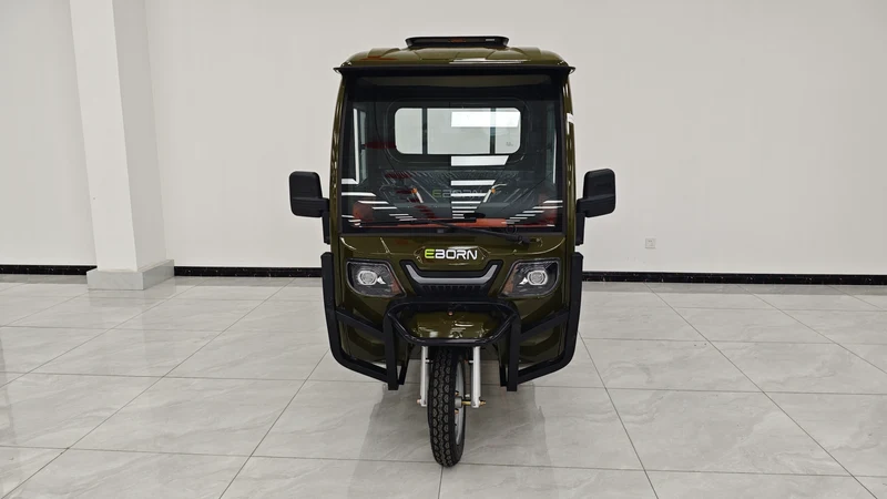 Eborn Cargo Cat 3 V2