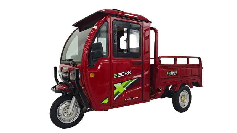 Eborn Cargo Cat 3 V2