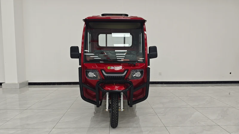 Eborn Cargo Cat 3 V2