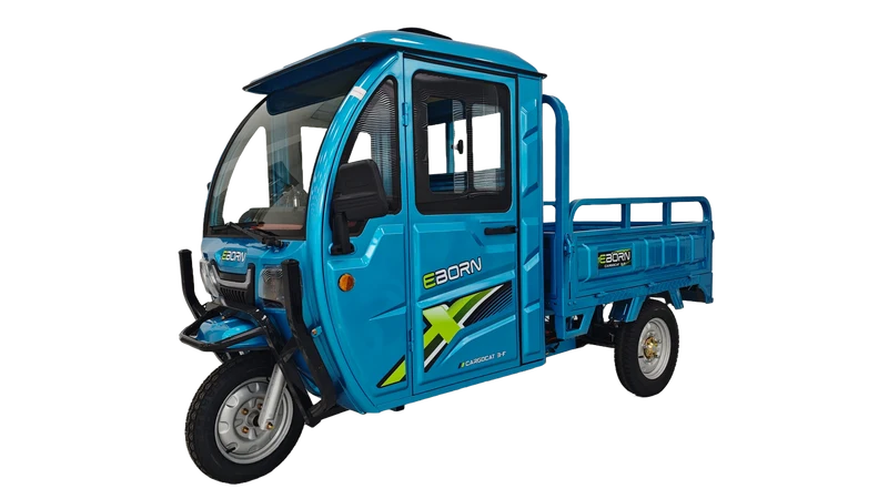 Eborn Cargo Cat 3 V2