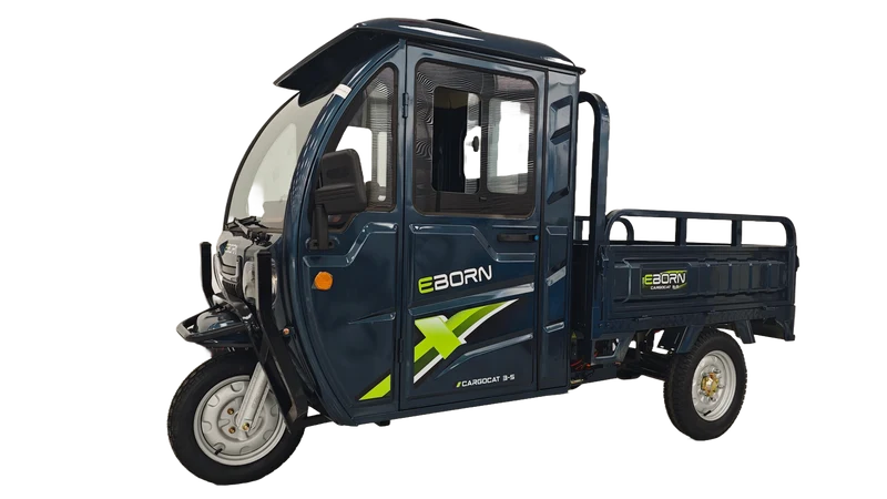 Eborn Cargo Cat 3 V2