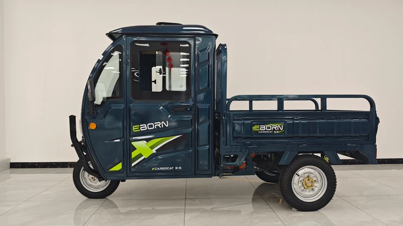 Eborn Cargo Cat 3 V2