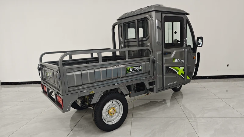 Eborn Cargo Cat 3 V2