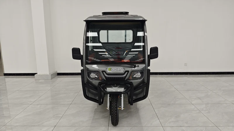 Eborn Cargo Cat 3 V2