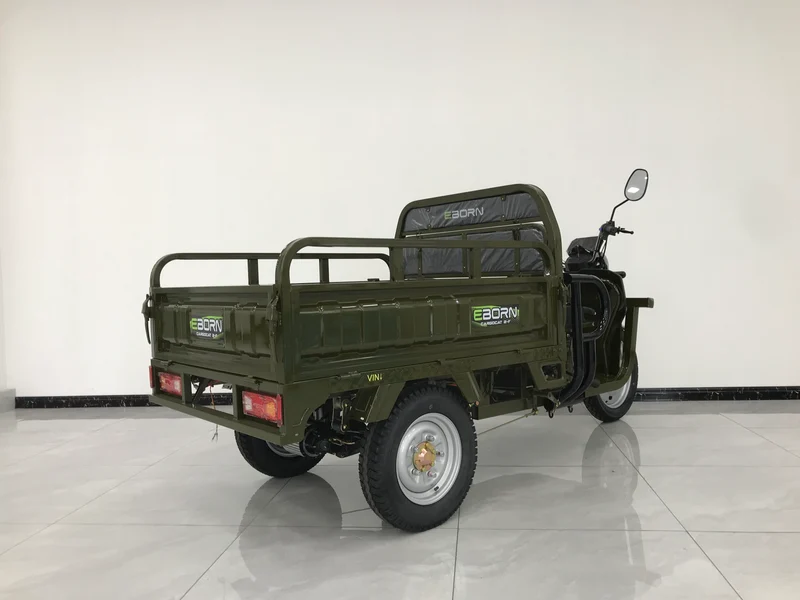 Eborn Cargo Cat 2 V2