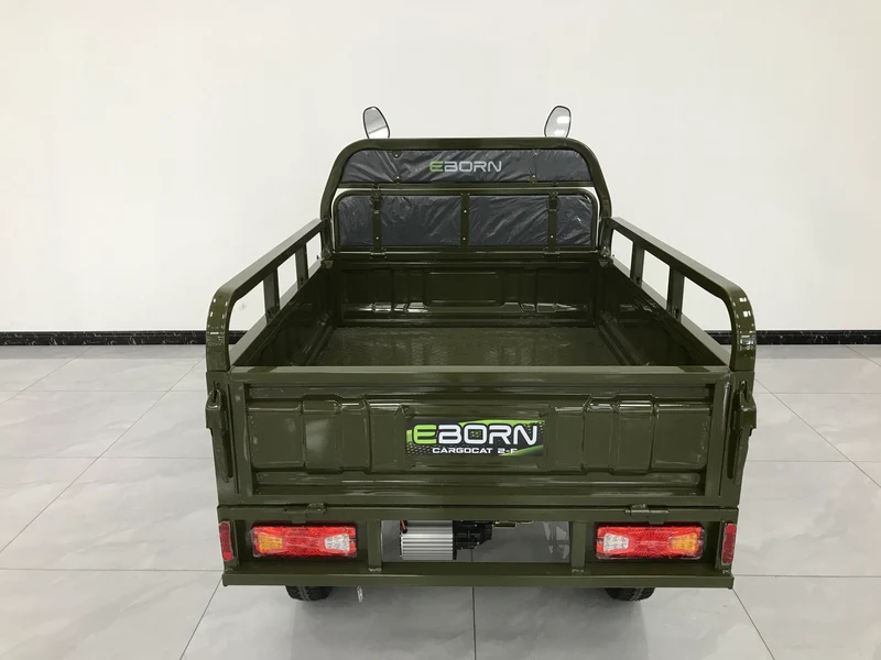 Eborn Cargo Cat 2 V2