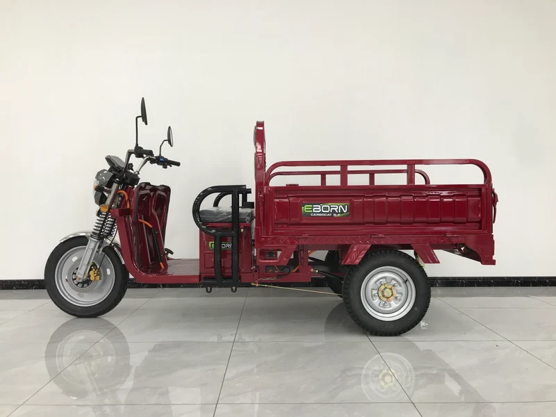 Eborn Cargo Cat 2 V2