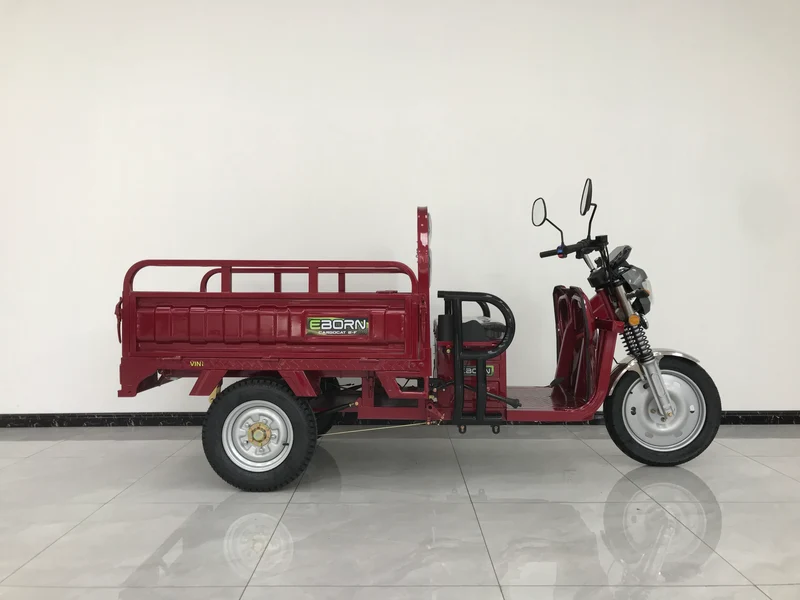 Eborn Cargo Cat 2 V2