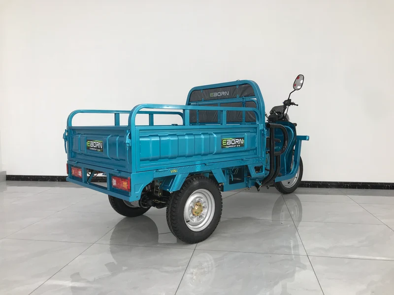 Eborn Cargo Cat 2 V2