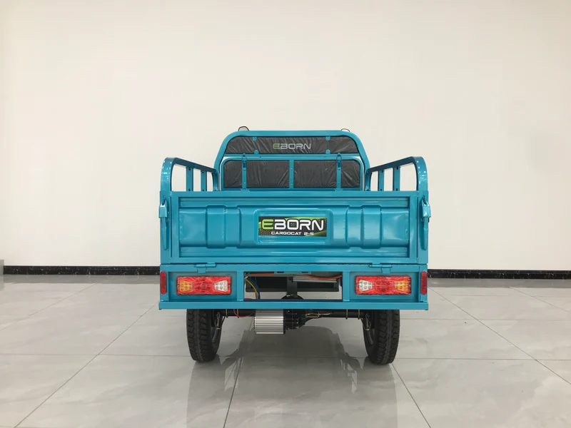 Eborn Cargo Cat 2 V2