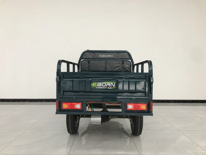 Eborn Cargo Cat 2 V2