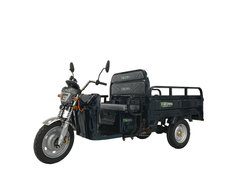 Eborn Cargo Cat 2 V2