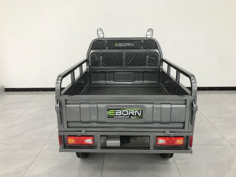 Eborn Cargo Cat 2 V2