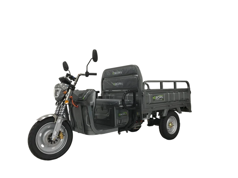 Eborn Cargo Cat 2 V2