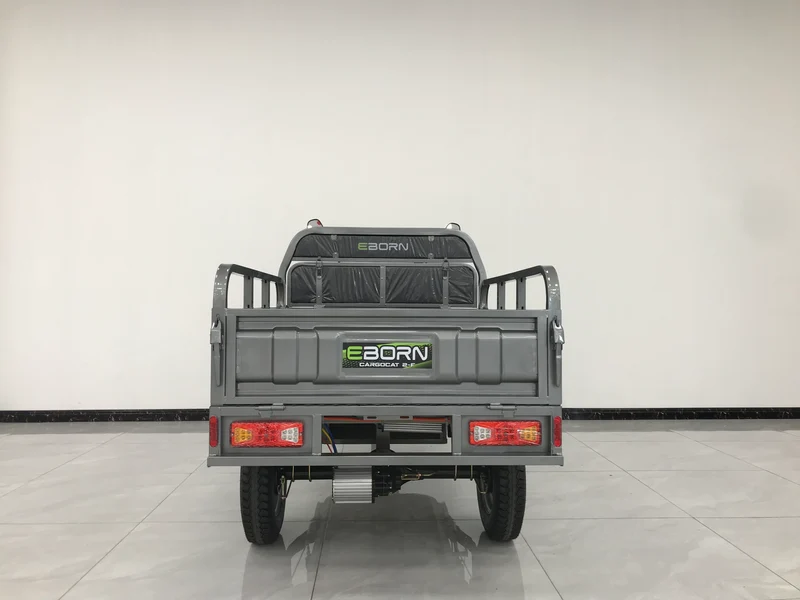 Eborn Cargo Cat 2 V2