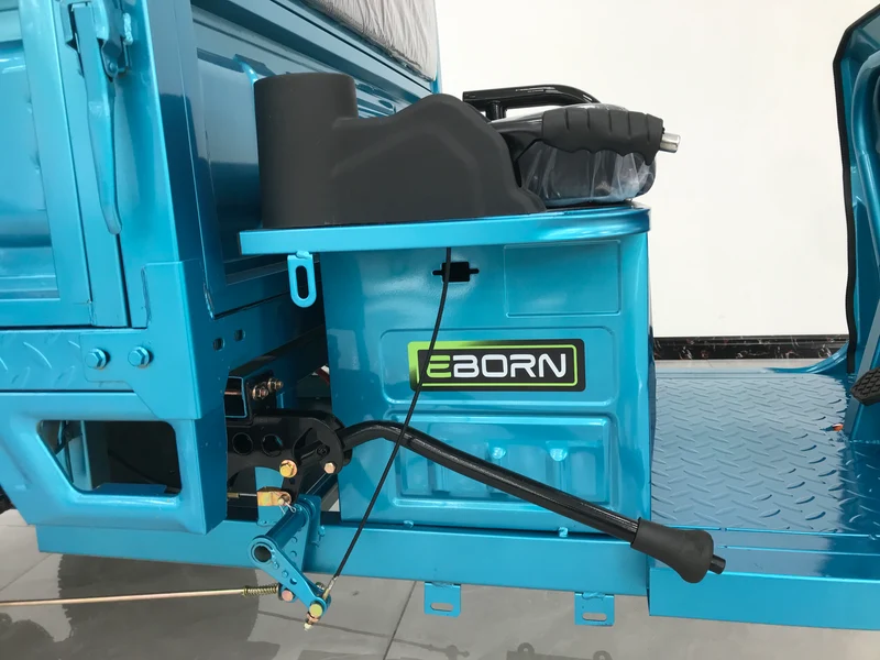 Eborn Cargo Cat 2 V2