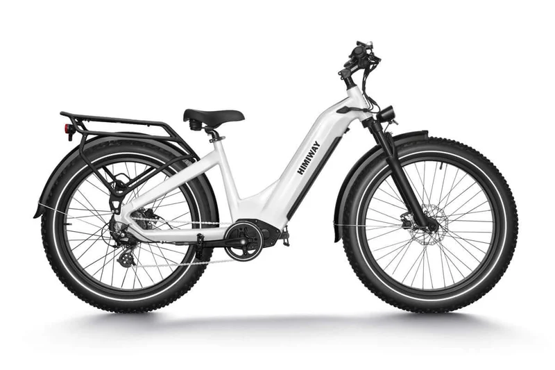 D5 Zebra All-Terrain-E-Bike