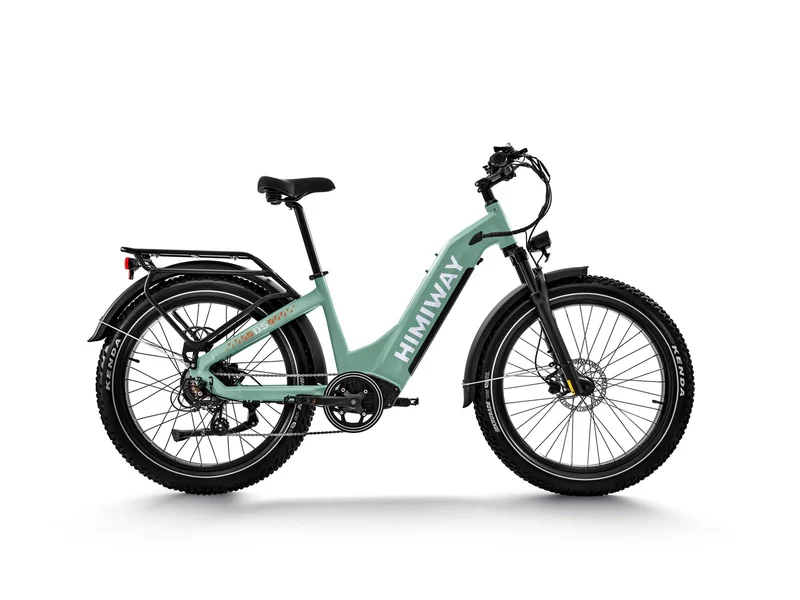 D5 Zebra All-Terrain-E-Bike
