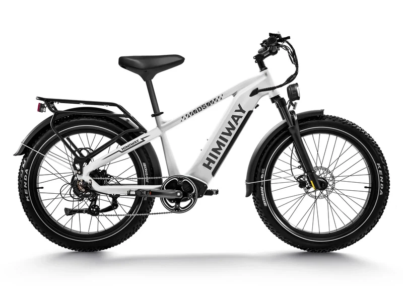 D5 Zebra All-Terrain-E-Bike