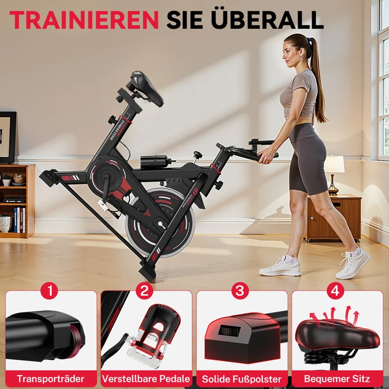 Stationärer Heimtrainer D1, Schwungrad 8KG/10KG