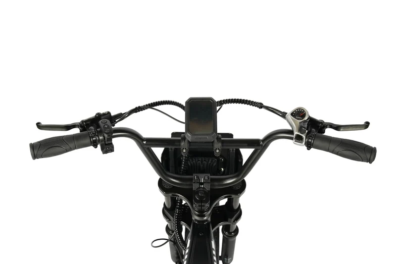 E-Fatbike Rockbike Rumble