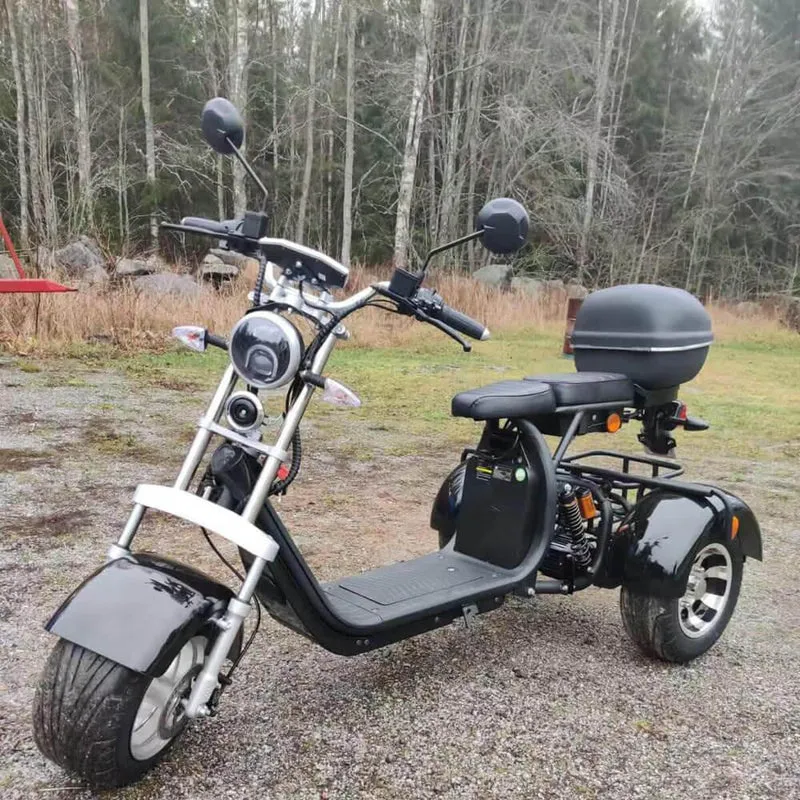 E-Trike 45 km/h CP3