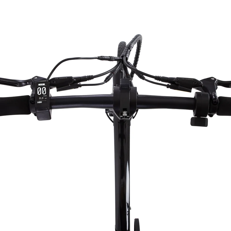 Riemenantrieb CARBO Elektrofahrrad