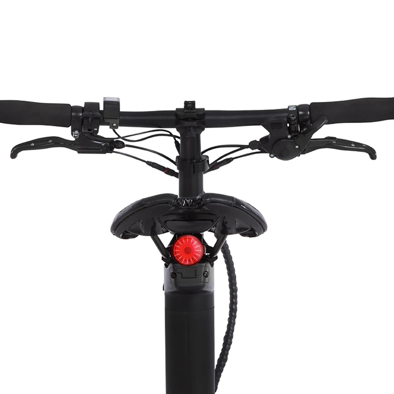 Riemenantrieb CARBO Elektrofahrrad