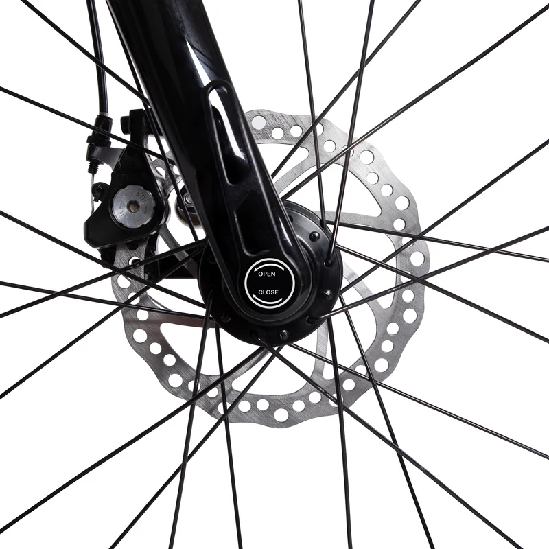 Riemenantrieb CARBO Elektrofahrrad