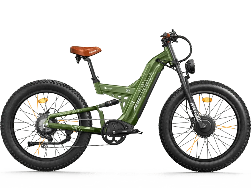 Freesky Warrior Pro M-530 Electric Bike