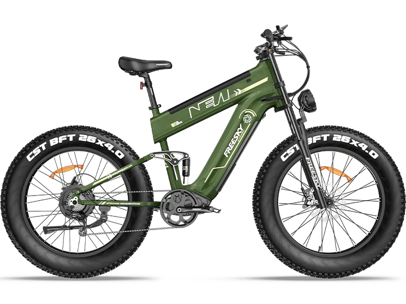 Freesky Alaska Pro M-520 Electric Bike