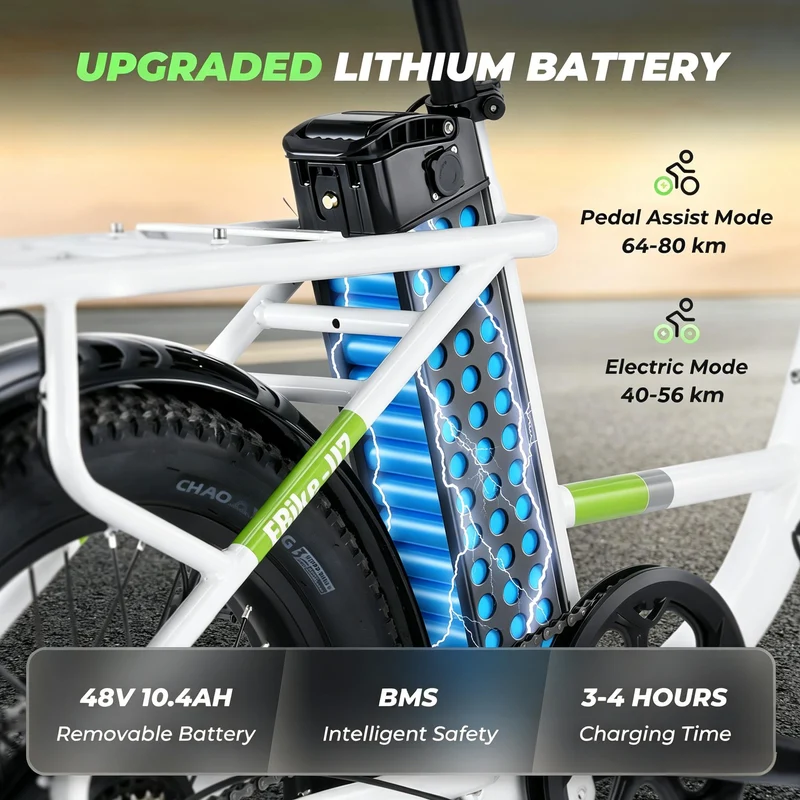 isinwheel U7 1000W Cargo Electric Bike