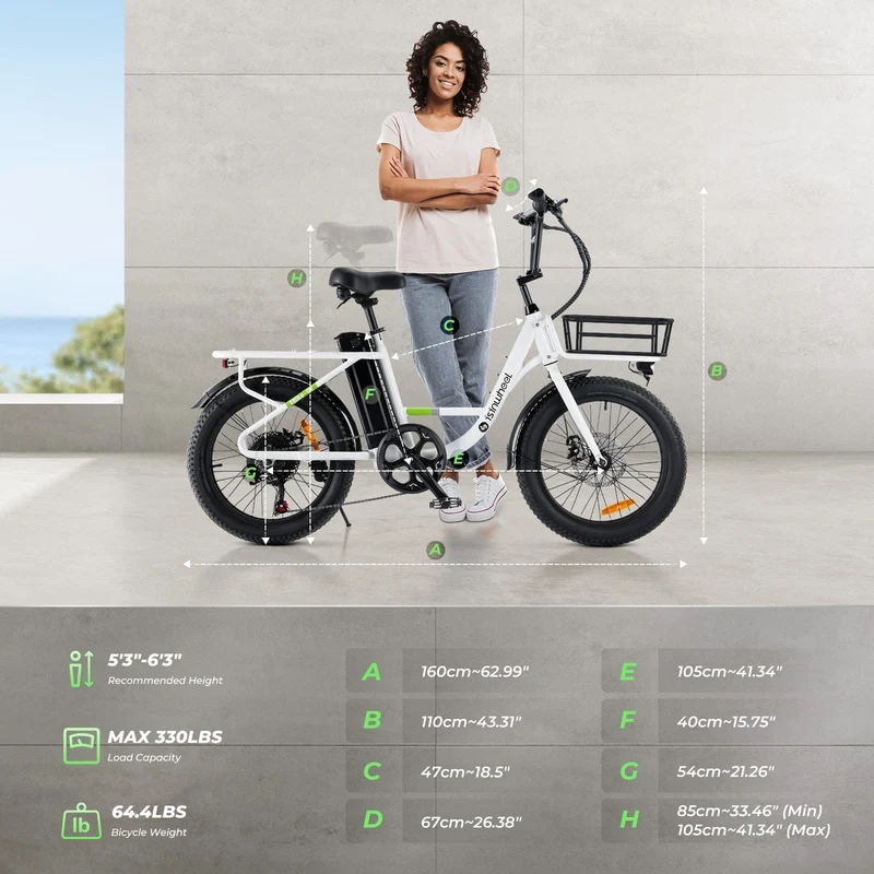 isinwheel U7 1000W Cargo Electric Bike