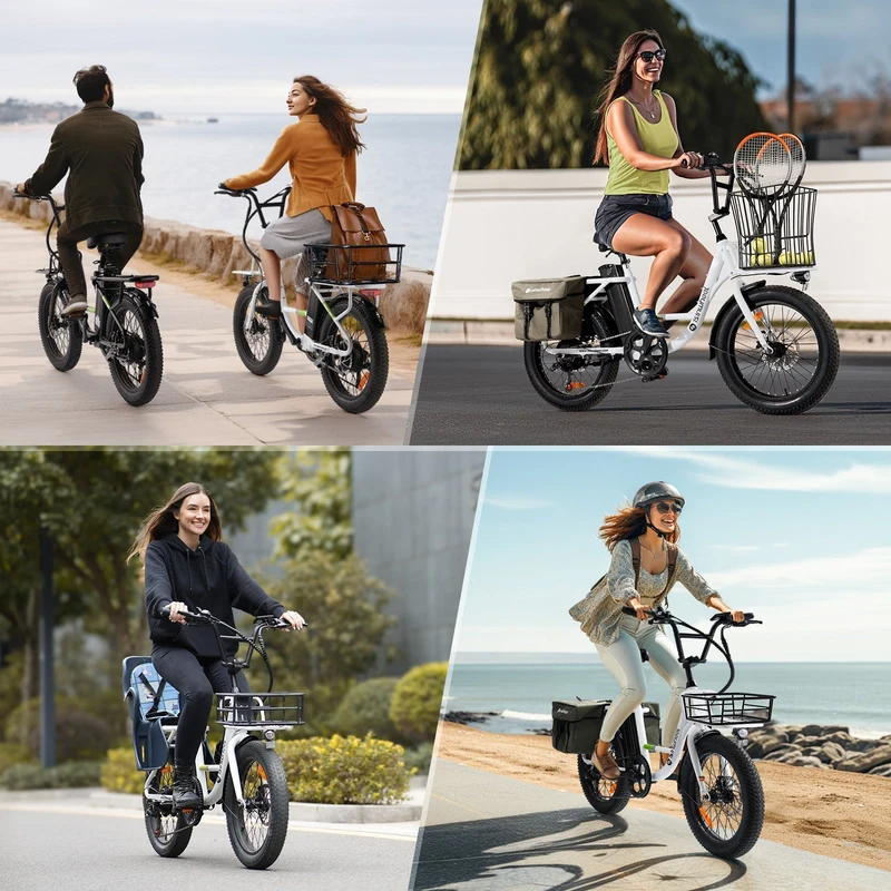 isinwheel U7 1000W Cargo Electric Bike