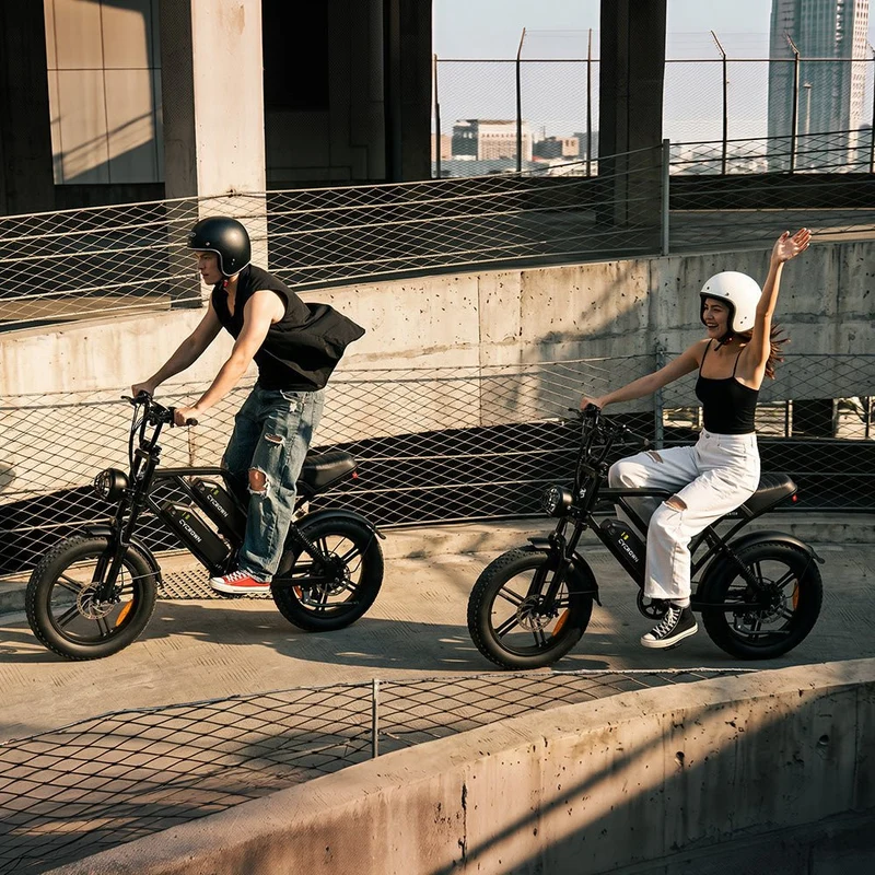Cycrown CycHunter Moped-Style E-Bike