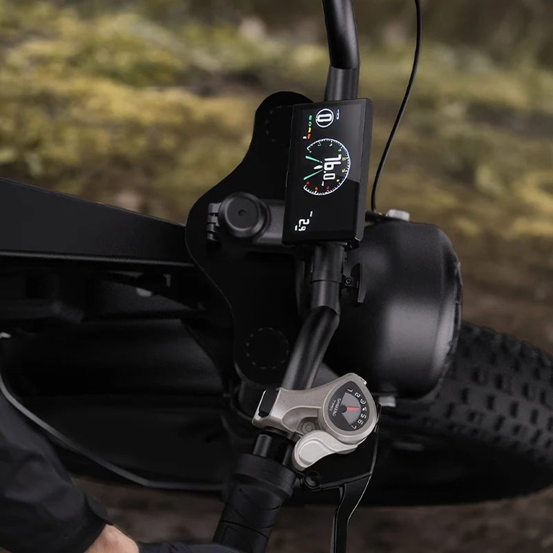 Cycrown CycHunter Moped-Style E-Bike