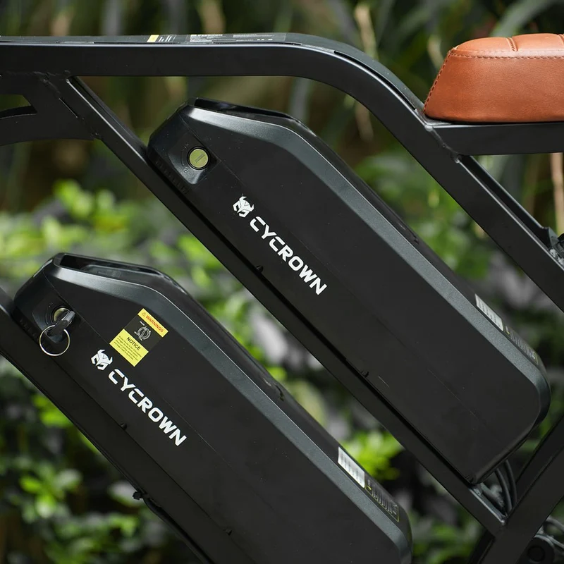 Cycrown CycHunter Moped-Style E-Bike