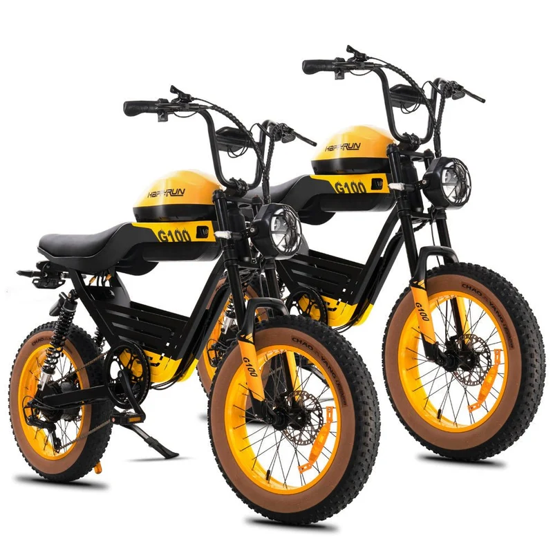 HappyRun G100 Electric Motorbike — Long Range Dual Battery
