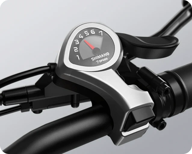Cycrown CycVerve All-Terrain Electric Bike