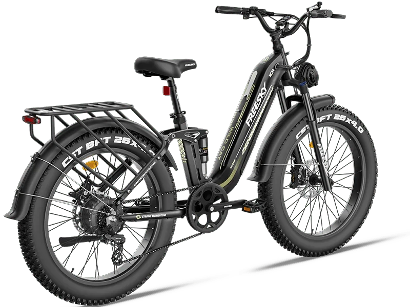 Freesky Wild Cat Pro 1600W 25AH