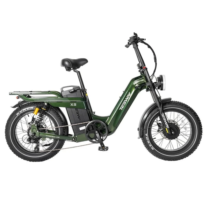 Tesway X5 AWD Dual-Motor Step Thru Electric Bike