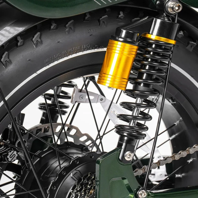 Tesway X5 AWD Dual-Motor Step Thru Electric Bike