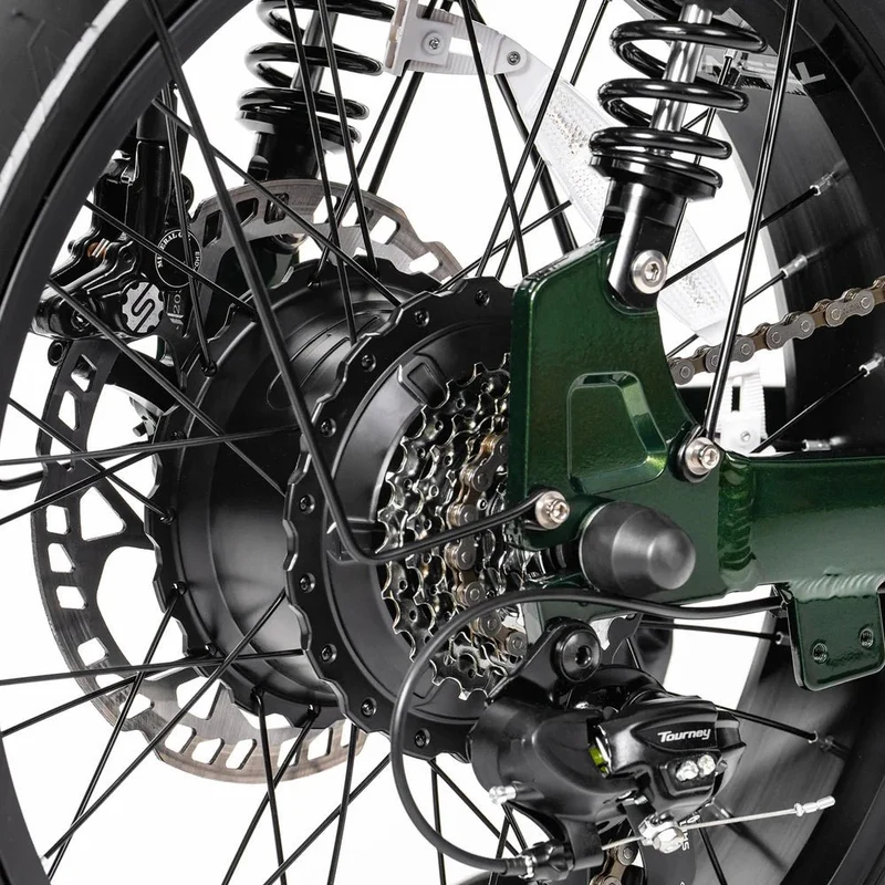 Tesway X5 AWD Dual-Motor Step Thru Electric Bike