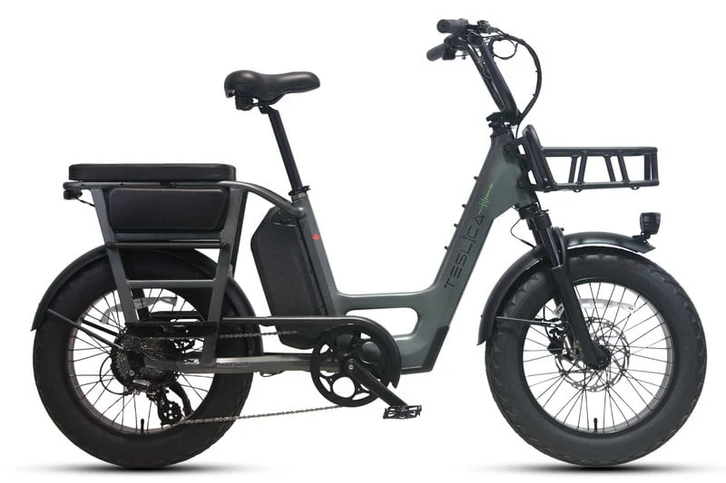 Teslica Care-Go Cargo CG2 Electric Bike