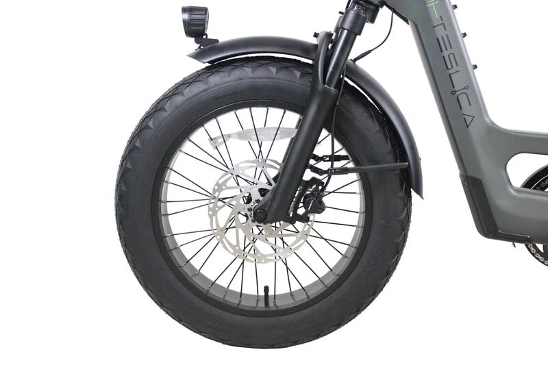 Teslica Care-Go Cargo CG2 Electric Bike