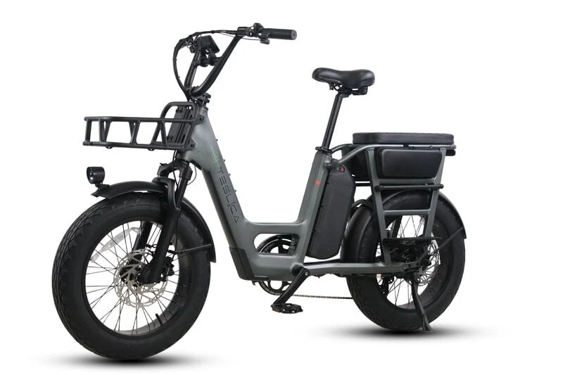 Teslica Care-Go Cargo CG2 Electric Bike