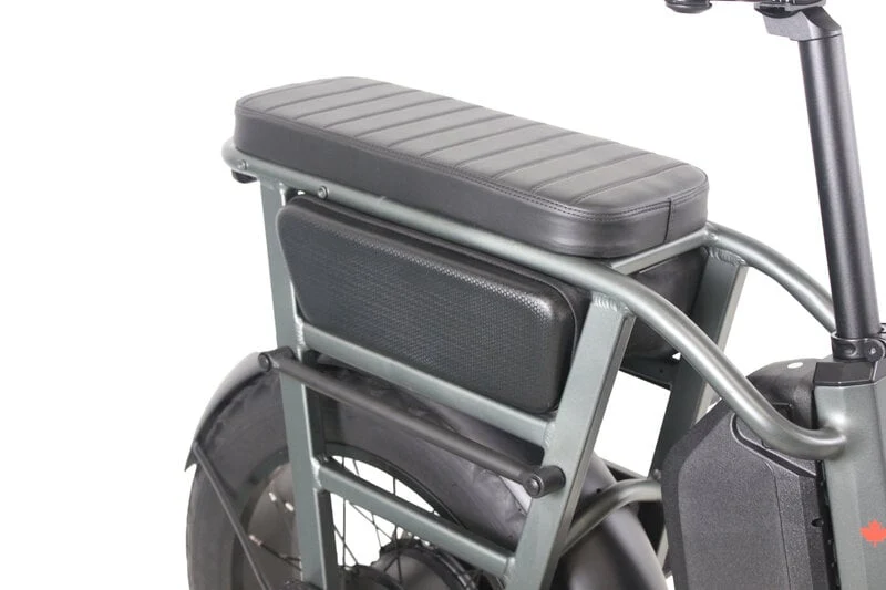 Teslica Care-Go Cargo CG2 Electric Bike