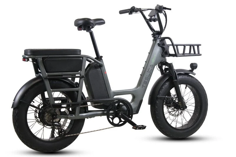 Teslica Care-Go Cargo CG2 Electric Bike
